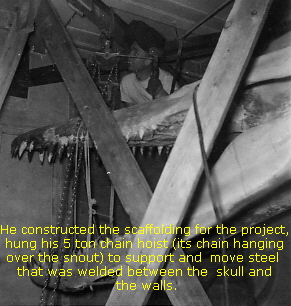 He constructed the scaffolding for the project, 
hung his 5 ton chain hoist (its chain hanging 
over the snout) to support and  move steel  
that was welded between the  skull and 
the walls.
